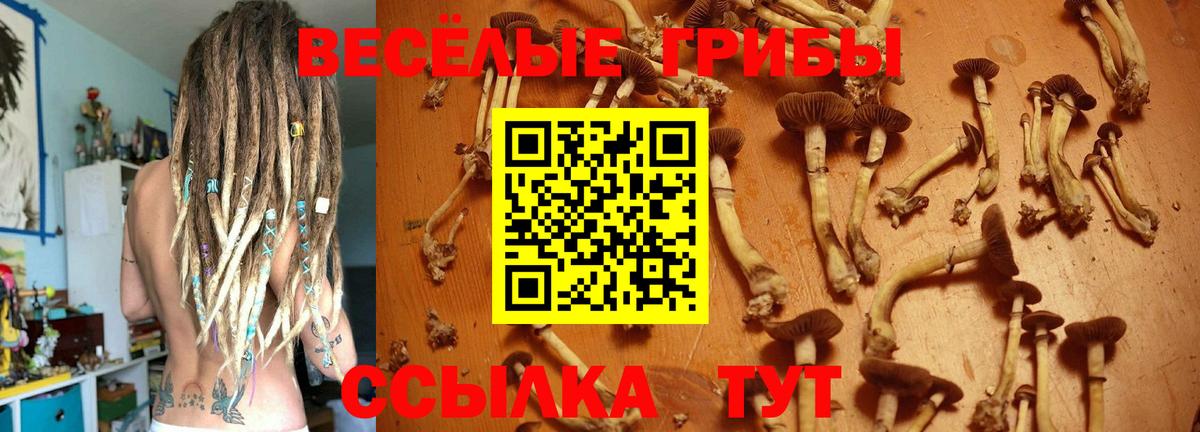 цены наркотик  Вход с VPN  Ковров  Псилоцибиновые грибы ЛСД 