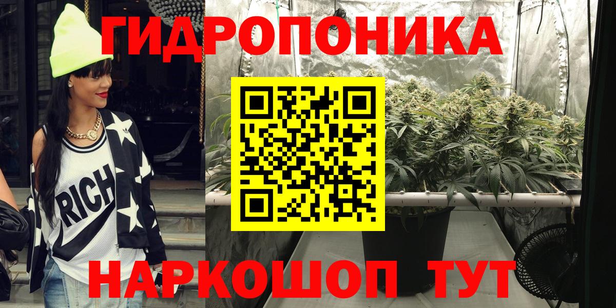 МАРИХУАНА сатива Ковров